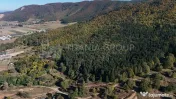 Aproape de Brașov, departe de agitație - Teren cu pădure în Cristian 