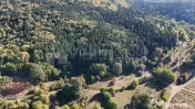 Aproape de Brașov, departe de agitație - Teren cu pădure în Cristian 