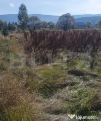 Teren 832 mp, intravilan, zona Vatra Dornei 