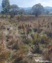 Teren 832 mp, intravilan, zona Vatra Dornei 