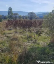 Teren 832 mp, intravilan, zona Vatra Dornei 