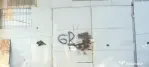 Spatiu comercial depozit tip hala - Circumvalatiunii