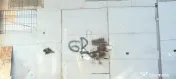 Spatiu comercial depozit tip hala - Circumvalatiunii 