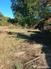 Casă tradițională cu teren 2.793 mp, Băișoara, Cluj