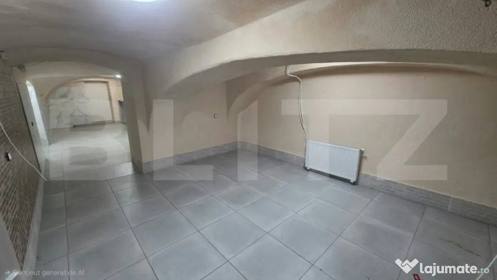 Spatiu comercial, 23 mp. Ultracentral - Satu Mare (Satu-Mare)
