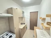 Garsoniera Tei Doamna Ghica Colentina 