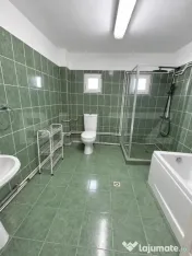 Casa de vanzare, 380 mp, zona Viișoara 