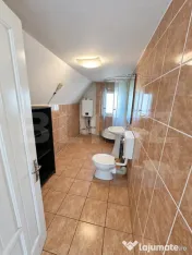 Casa de vanzare, 380 mp, zona Viișoara 