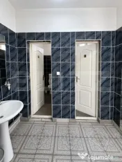 Casa de vanzare, 380 mp, zona Viișoara 