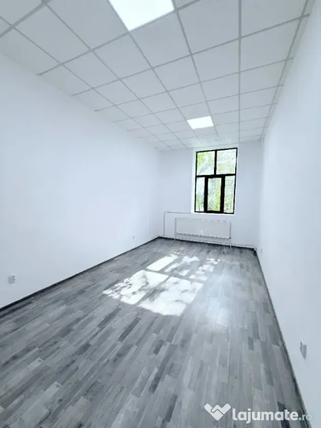 Birouri in cladire amenajata zona centrala - Botosani (Botosani)