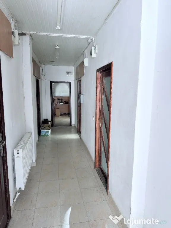 Birouri in cladire amenajata zona centrala - Botosani (Botosani)