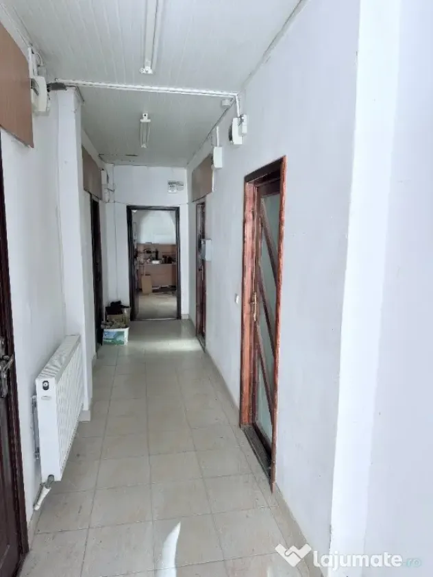 Birouri in cladire amenajata zona centrala - Botosani (Botosani)