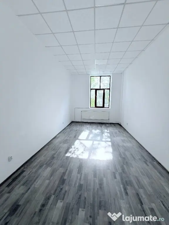 Birouri in cladire amenajata zona centrala - Botosani (Botosani)