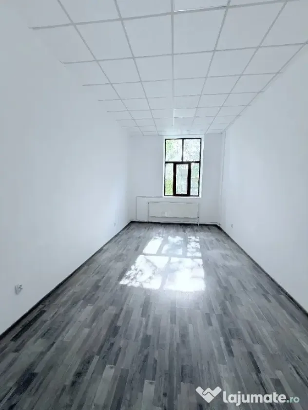 Birouri in cladire amenajata zona centrala - Botosani (Botosani)