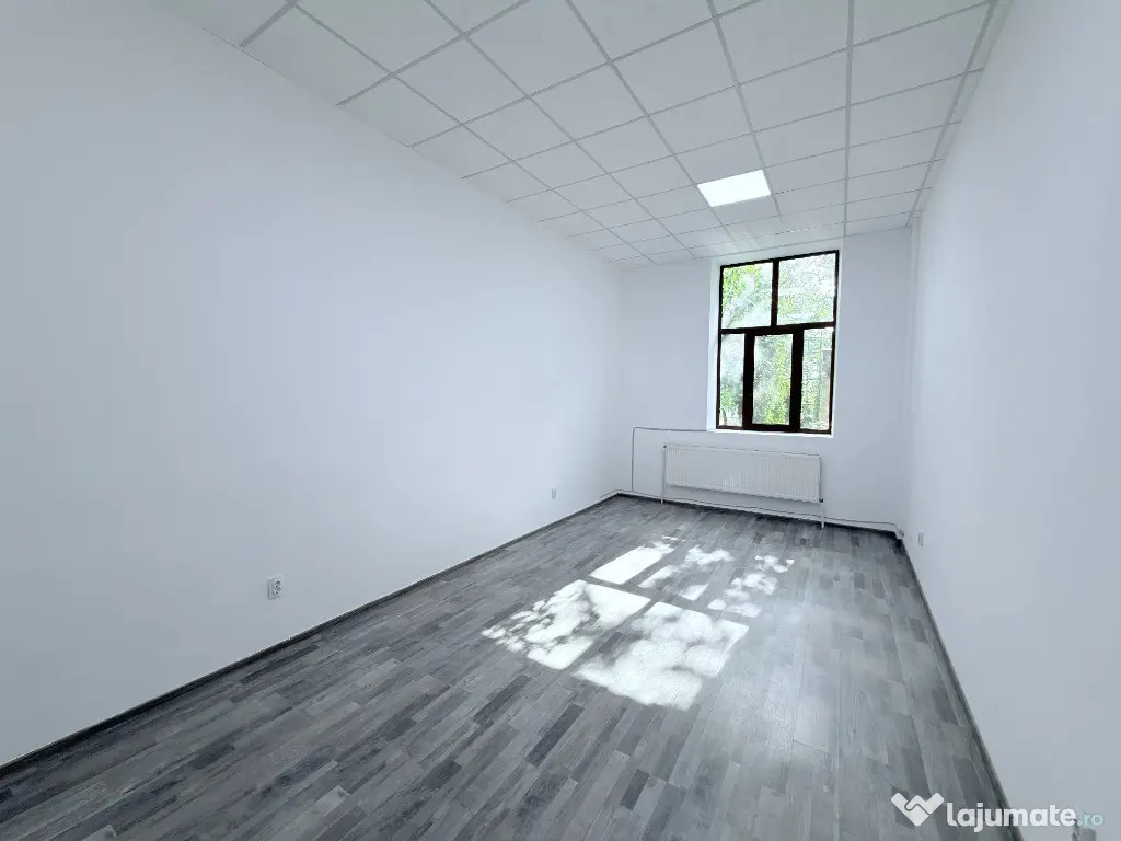 Birouri in cladire amenajata zona centrala - Botosani (Botosani)