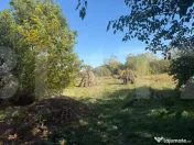 Casă individuală P+M 170mp utili , teren 2433mp - Com. Cor 