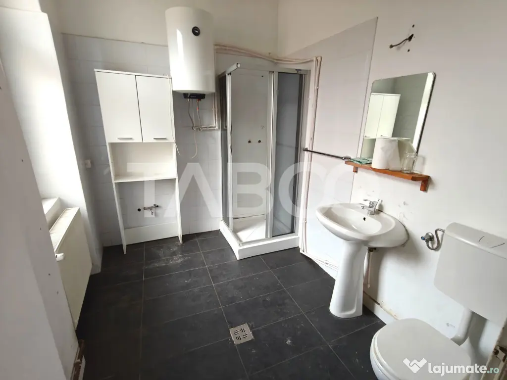 Spatiu de inchiriat in curte proprie - zona Lupeni - Comisio - Sibiu (Sibiu)
