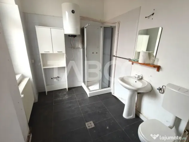 Spatiu de inchiriat in curte proprie - zona Lupeni - Comisio - Sibiu (Sibiu)