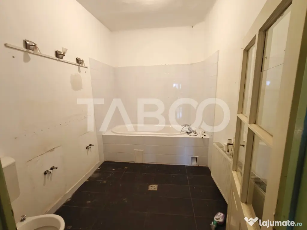 Spatiu de inchiriat in curte proprie - zona Lupeni - Comisio - Sibiu (Sibiu)