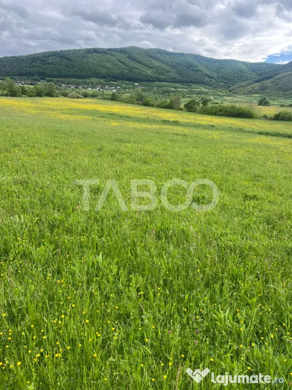 OPORTUNITATE INVESTITIE Teren extravilan 3600 mp Poplaca - Poplaca (Sibiu)