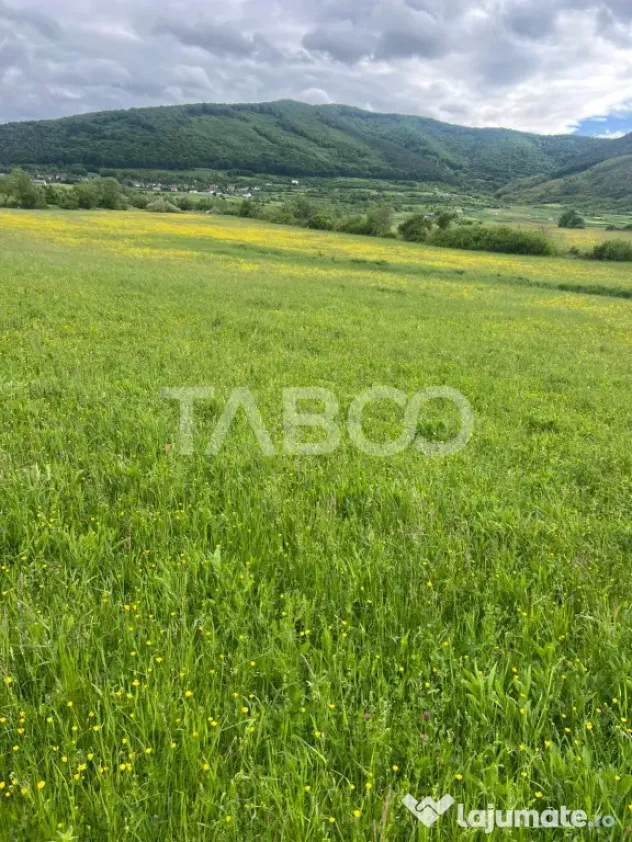 OPORTUNITATE INVESTITIE Teren extravilan 3600 mp Poplaca - Poplaca (Sibiu)