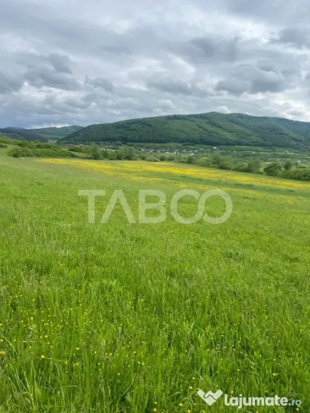 OPORTUNITATE INVESTITIE Teren extravilan 3600 mp Poplaca - Poplaca (Sibiu)