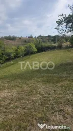 Teren de vanzare 8.300 mp Plesi Loman judetul Alba
