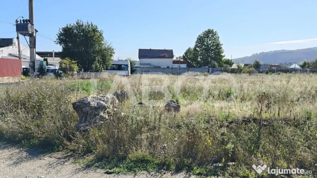 Teren intravilan de vanzare in Sebes zona industriala - Sebes (Alba)