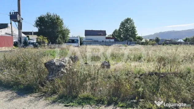 Teren intravilan de vanzare in Sebes zona industriala - Sebes (Alba)