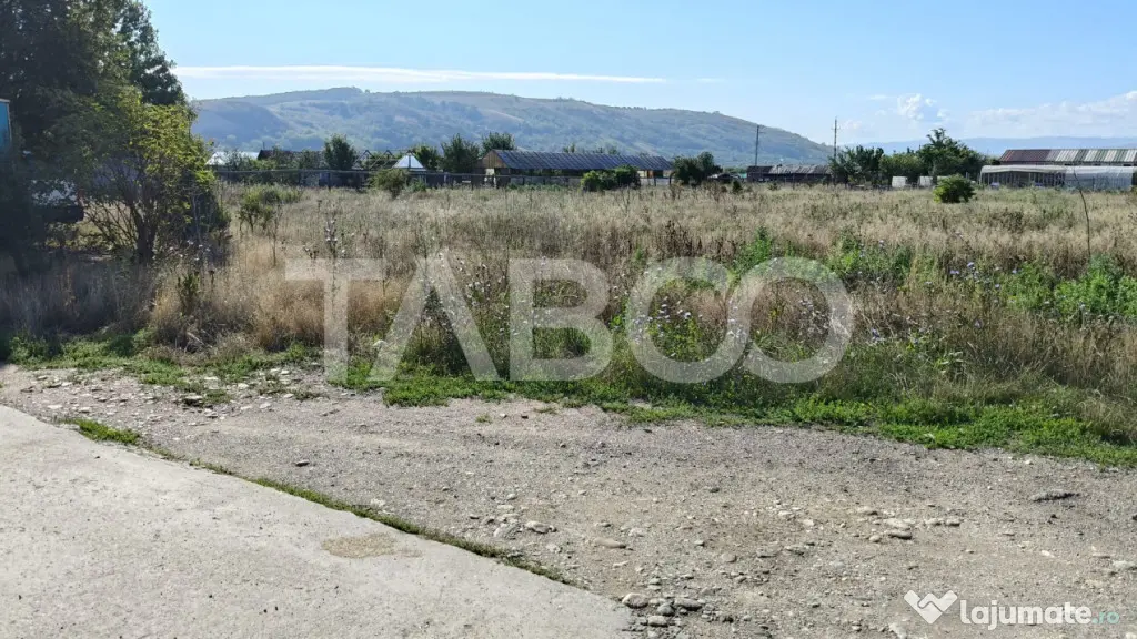 Teren intravilan de vanzare in Sebes zona industriala - Sebes (Alba)