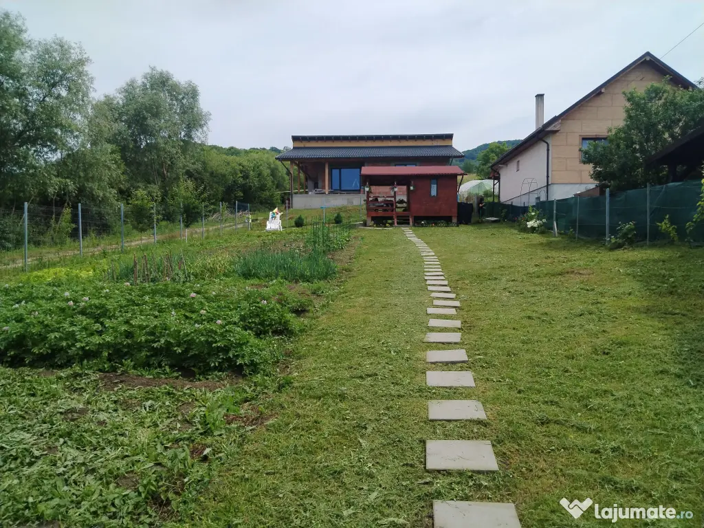 Teren Bistrita zona Valea Ghinzii.