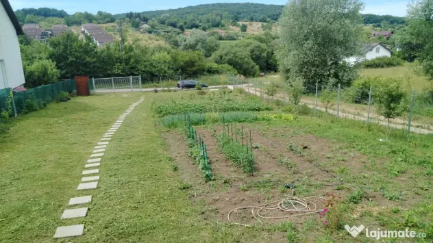 Teren Bistrita zona Valea Ghinzii.