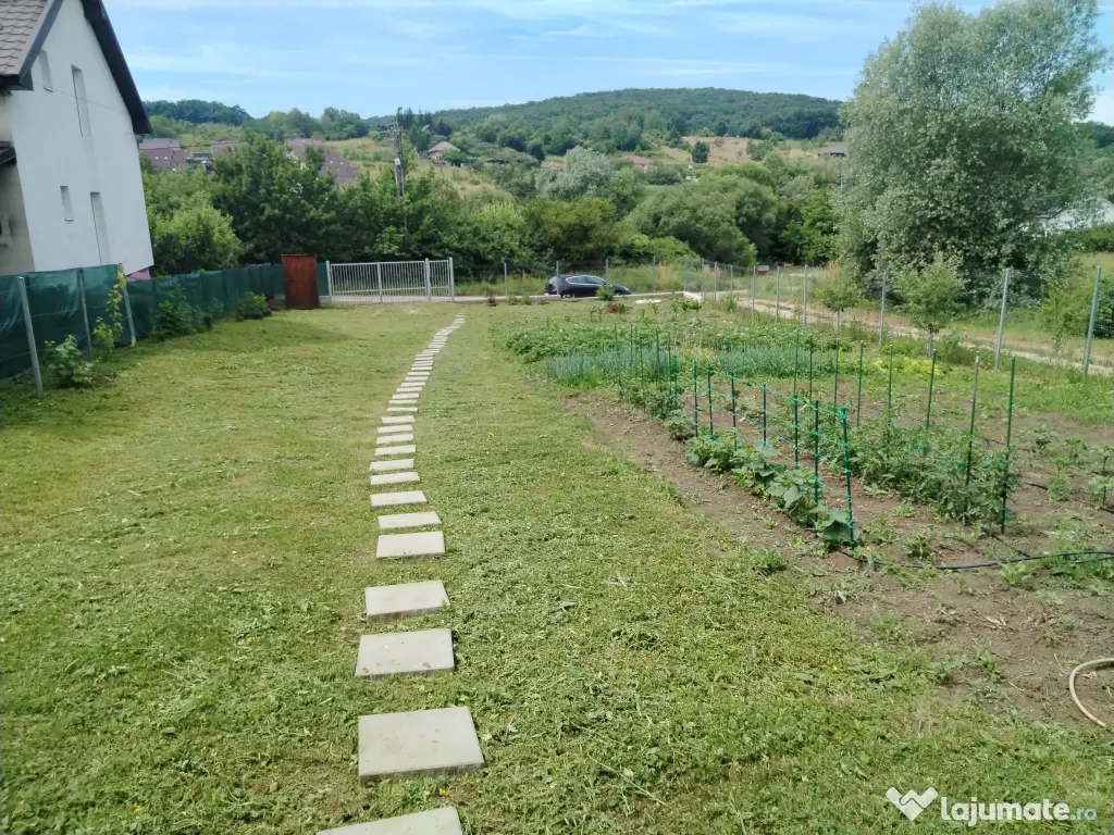 Teren Bistrita zona Valea Ghinzii.