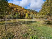 Casă de vânzare, 260 mp, zona Vest