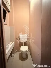 Apartament 3 camere de vanzaree Dambovita Timisoara 