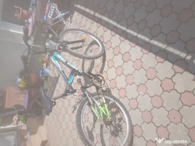 bicicleta de oras