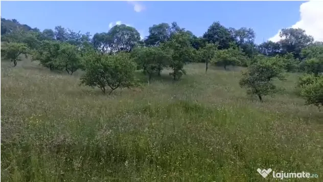 Teren de vanzare in zona de munte 13000mp