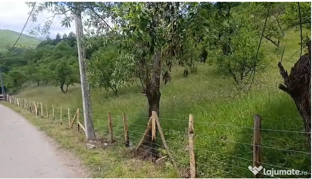 Teren de vanzare in zona de munte 13000mp