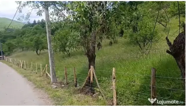 Teren de vanzare in zona de munte 13000mp