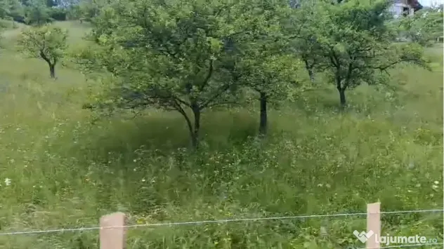 Teren de vanzare in zona de munte 13000mp