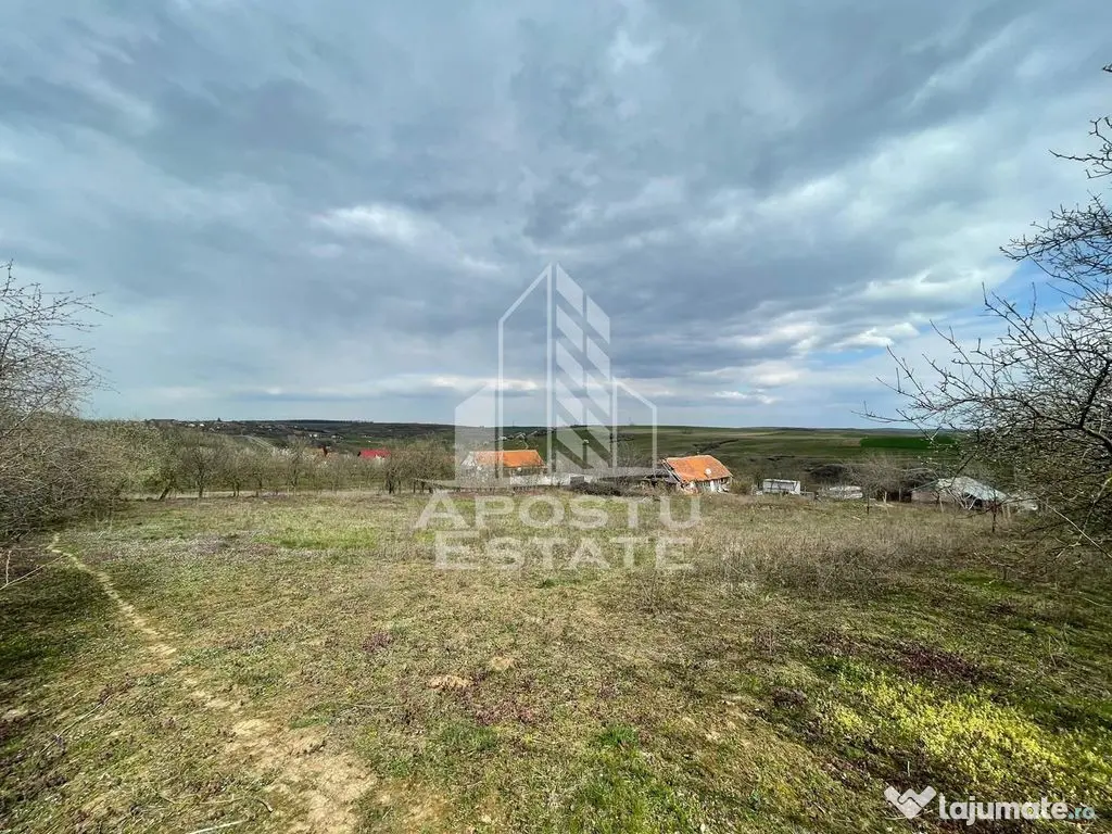 Teren intravilan pentru investitie, 2896 mp, Herneacova Timis - Herneacova (Timis)