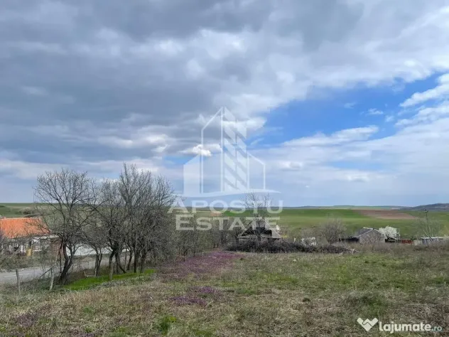Teren intravilan pentru investitie, 2896 mp, Herneacova Timis - Herneacova (Timis)