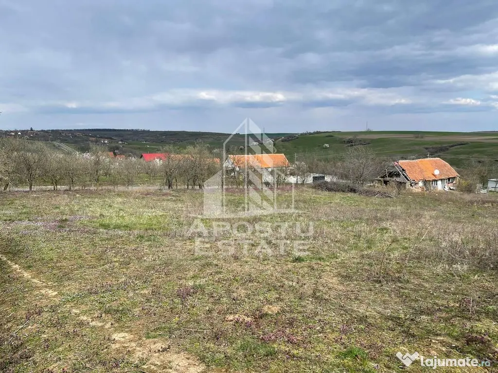 Teren intravilan pentru investitie, 2896 mp, Herneacova Timis - Herneacova (Timis)