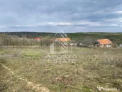 Teren intravilan pentru investitie, 2896 mp, Herneacova Timis 