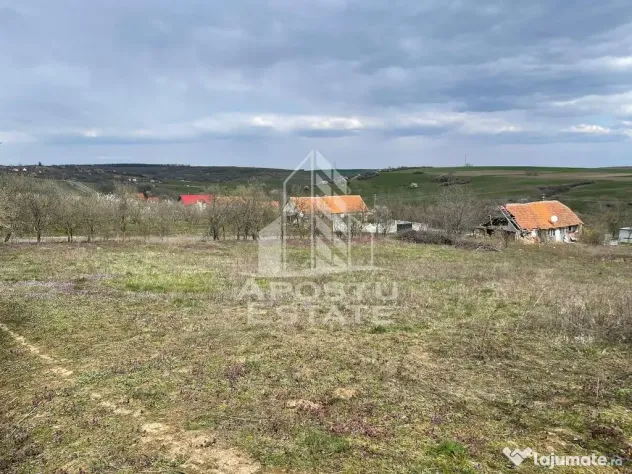 Teren intravilan pentru investitie, 2896 mp, Herneacova Timis - Herneacova (Timis)