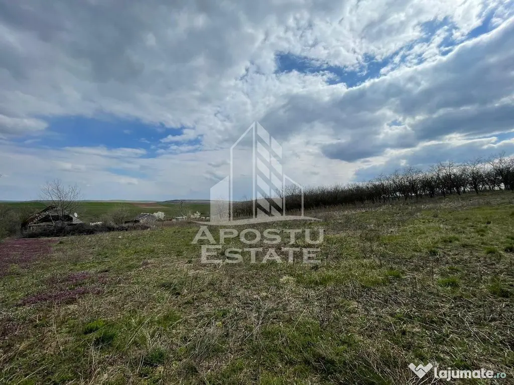 Teren intravilan pentru investitie, 2896 mp, Herneacova Timis - Herneacova (Timis)