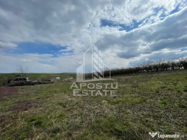 Teren intravilan pentru investitie, 2896 mp, Herneacova Timis - Herneacova (Timis)