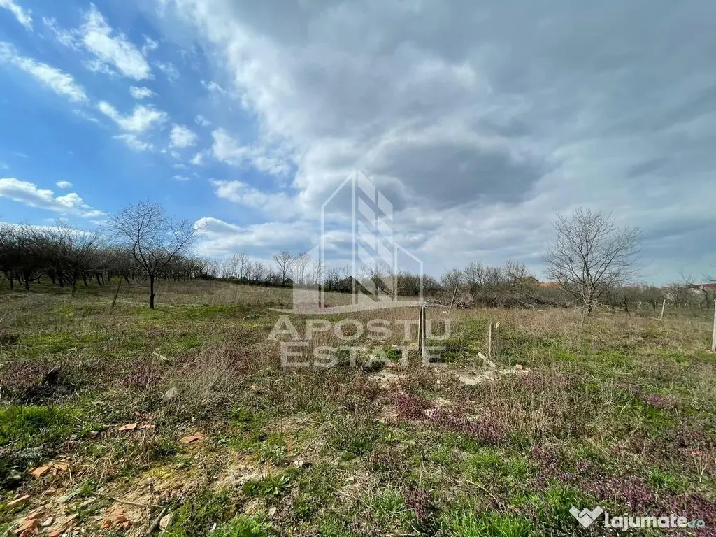 Teren intravilan pentru investitie, 2896 mp, Herneacova Timis - Herneacova (Timis)