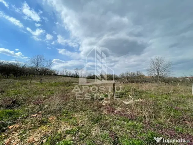 Teren intravilan pentru investitie, 2896 mp, Herneacova Timis - Herneacova (Timis)