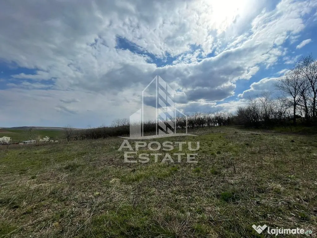 Teren intravilan pentru investitie, 2896 mp, Herneacova Timis - Herneacova (Timis)